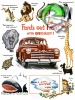 Ford 1946 03.jpg